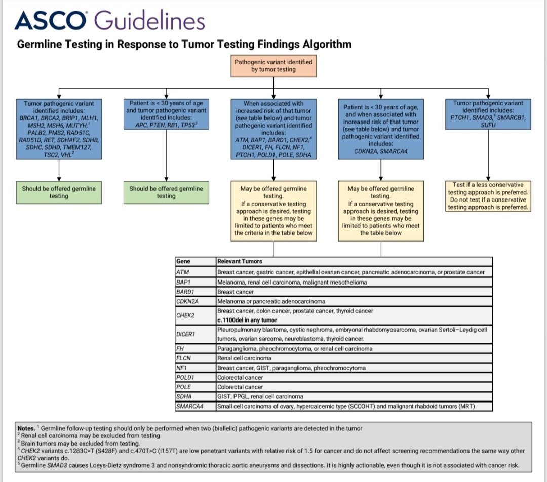 Selection of Germline Genetic Testing Panels in Patients With Cancer: ASCO Guideline Who, when and which genetic test? @OncoAlert ascopubs.org/doi/10.1200/JC…