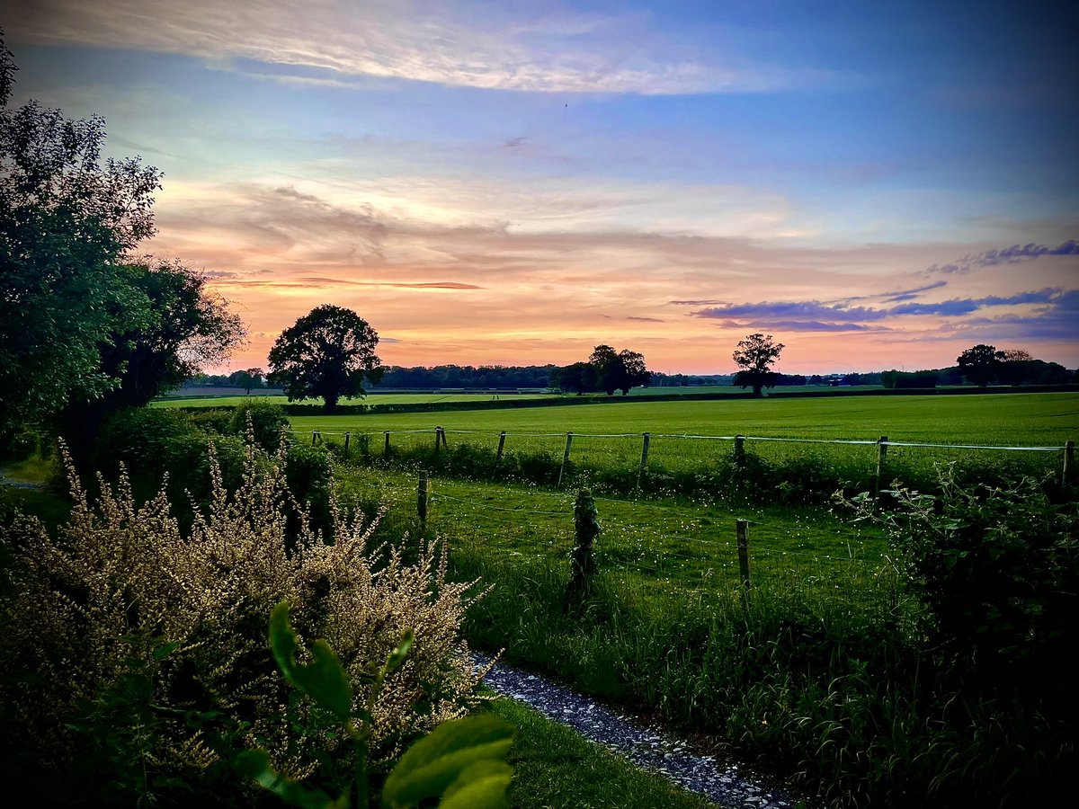 Evening sunset in this green and pleasant land. #TreeClub #Sunset #Shropshire #England
