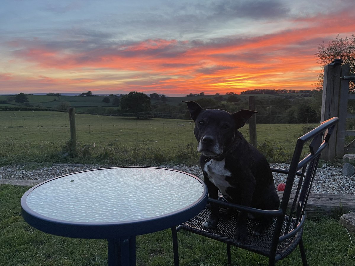 A beautiful sunset at home today #Livingmybestlife #luckyrescuedog 🐾❤️🐾