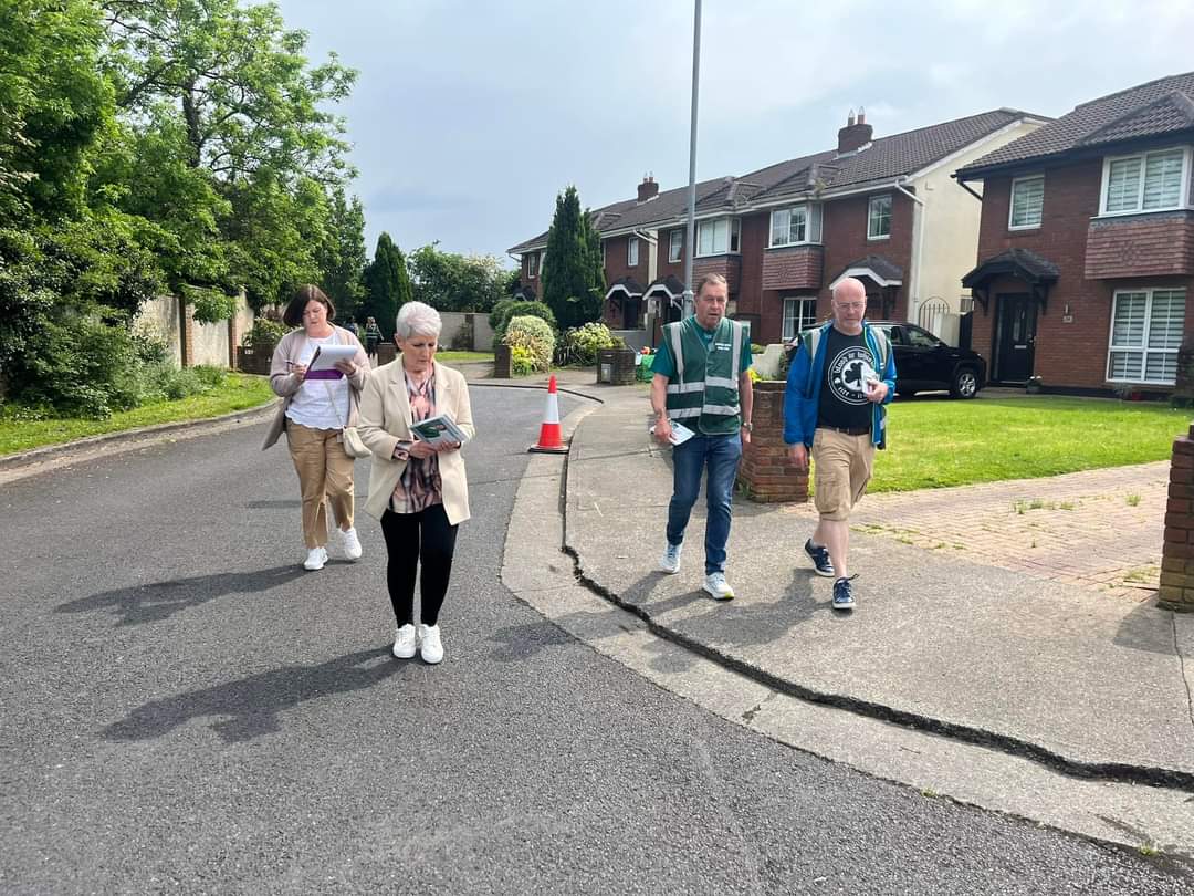 Great team out today in Springlawn for @PhilipLyna44733 , @LNBDublin & @DaithiDoolan , we also completed all the callbacks in Summerfield. #LE24 #EU24