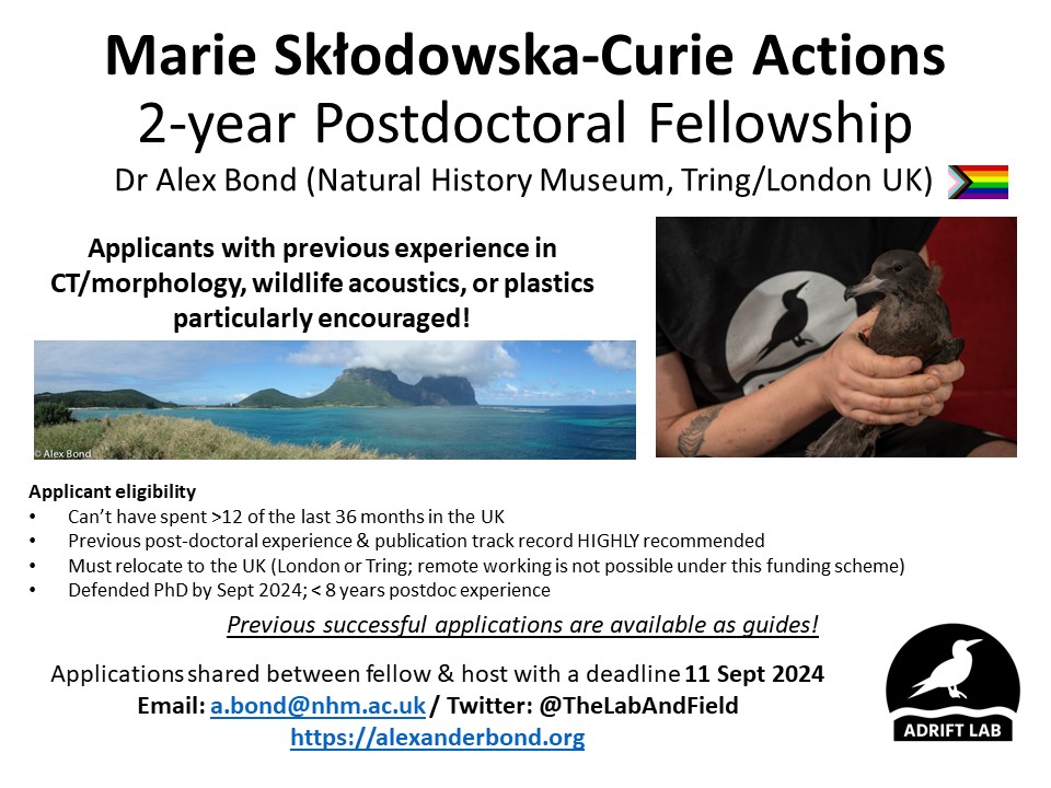 The @AdriftLab is looking for applicants to the Marie Curie postdoctoral fellowship scheme! We do cutting-edge research on the effects of #PlasticPollution on wildlife, mixing lab & field tools. Folks with CT/morphology or wildlife acoustics experience particularly encouraged!