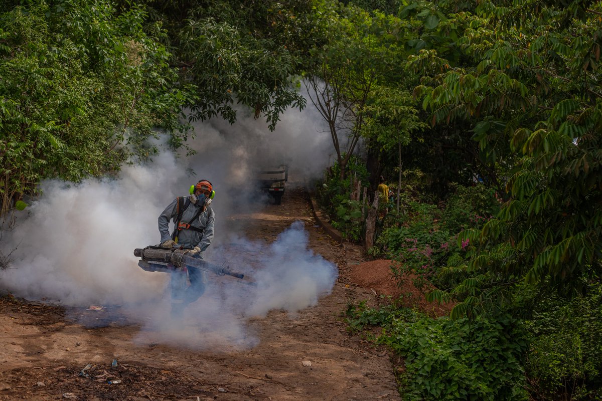 #local La Libertad Este realiza jornada masiva de fumigación
👉tinyurl.com/2ao3pcwe
#LaLibertadEste #MilagroNavas