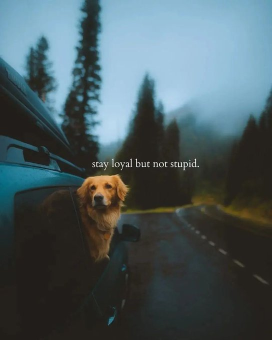 Mindful Maven (@mindfulmaven_) on Twitter photo 
