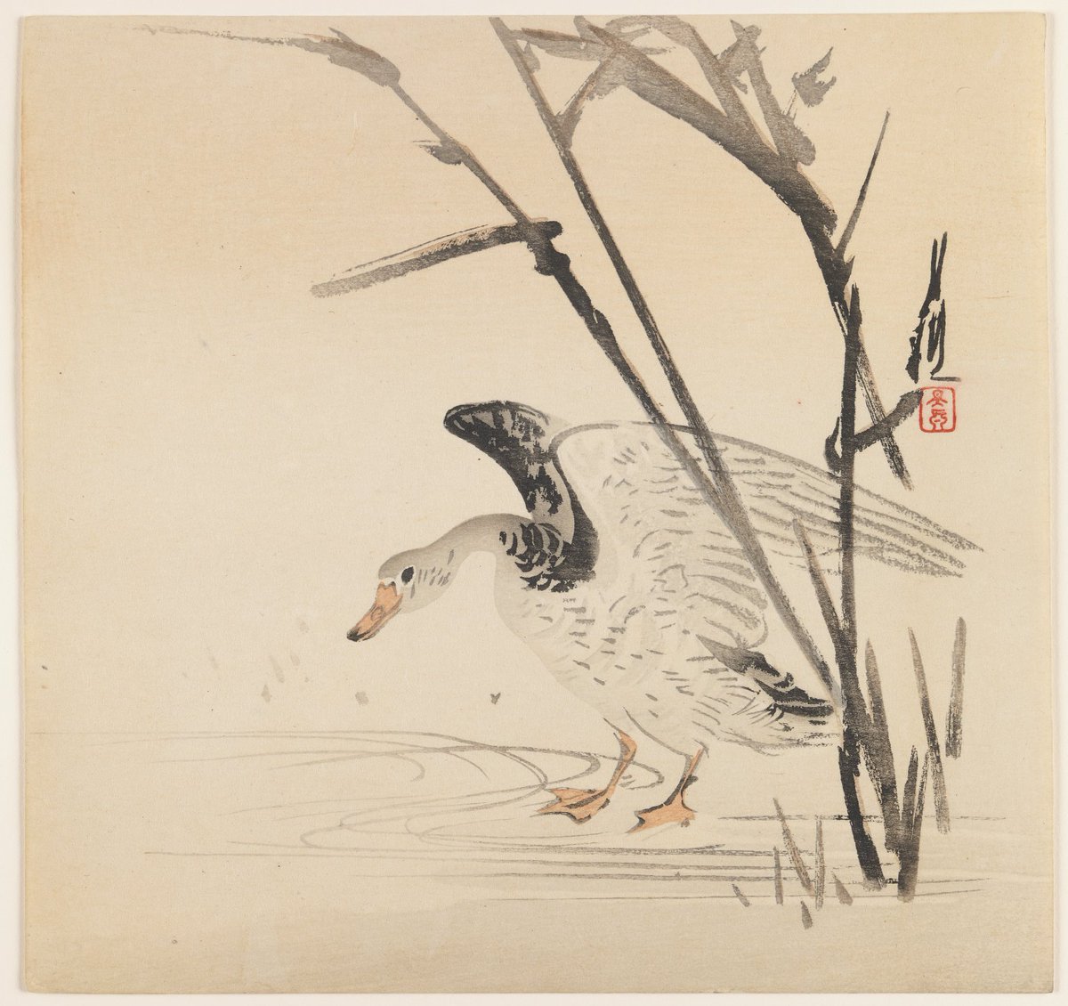 Wild Goose in Reeds, by Ogata Gekko, 1890-1910