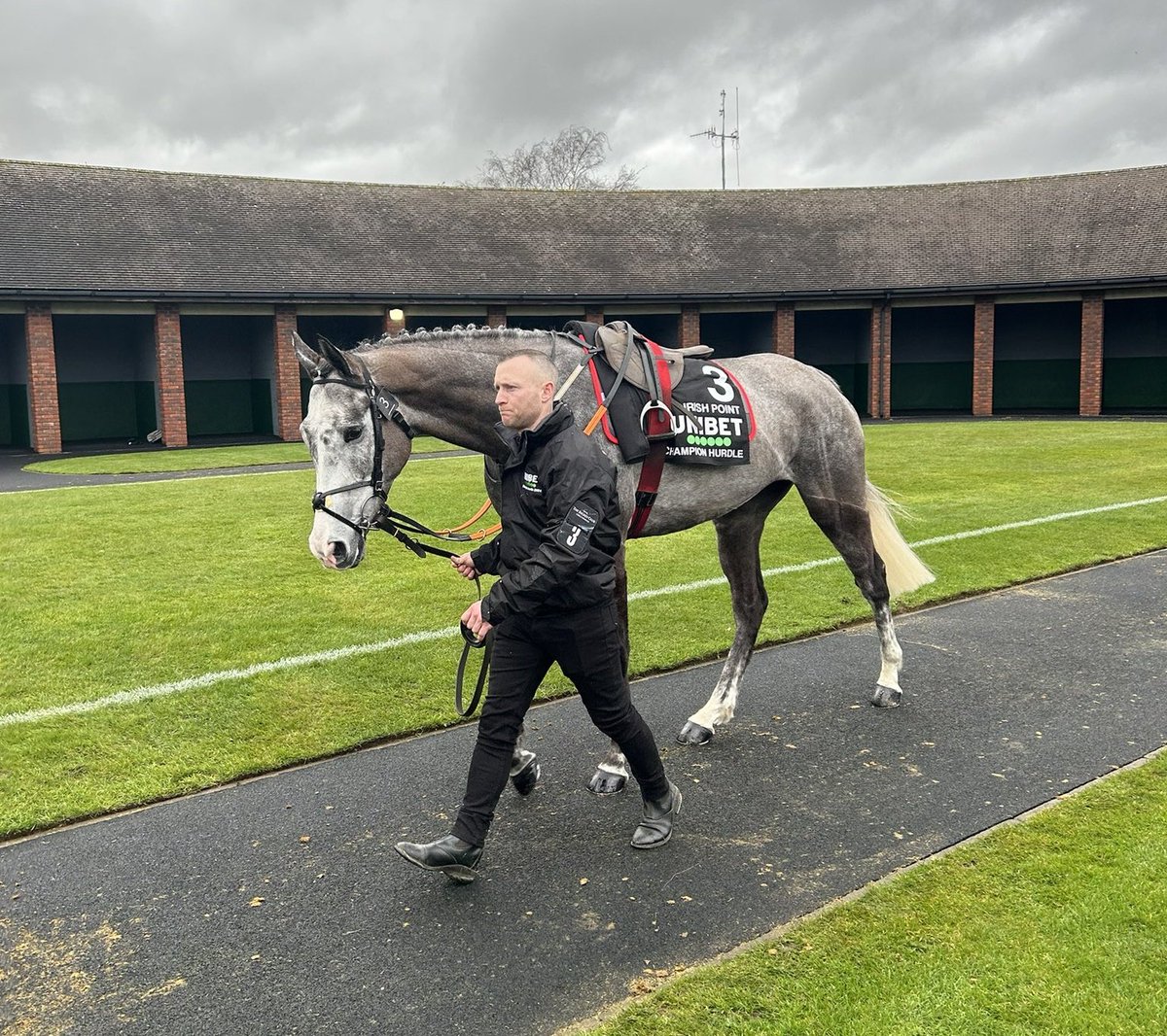 🌟 Per @RacingPost, Gordon Elliott on IRISH POINT:

'Win, lose or draw, he's had a great season and we just felt this was the right race for him after Punchestown.

'He only had four starts last season and he's a young horse, so he's relatively fresh and he bounced out of
