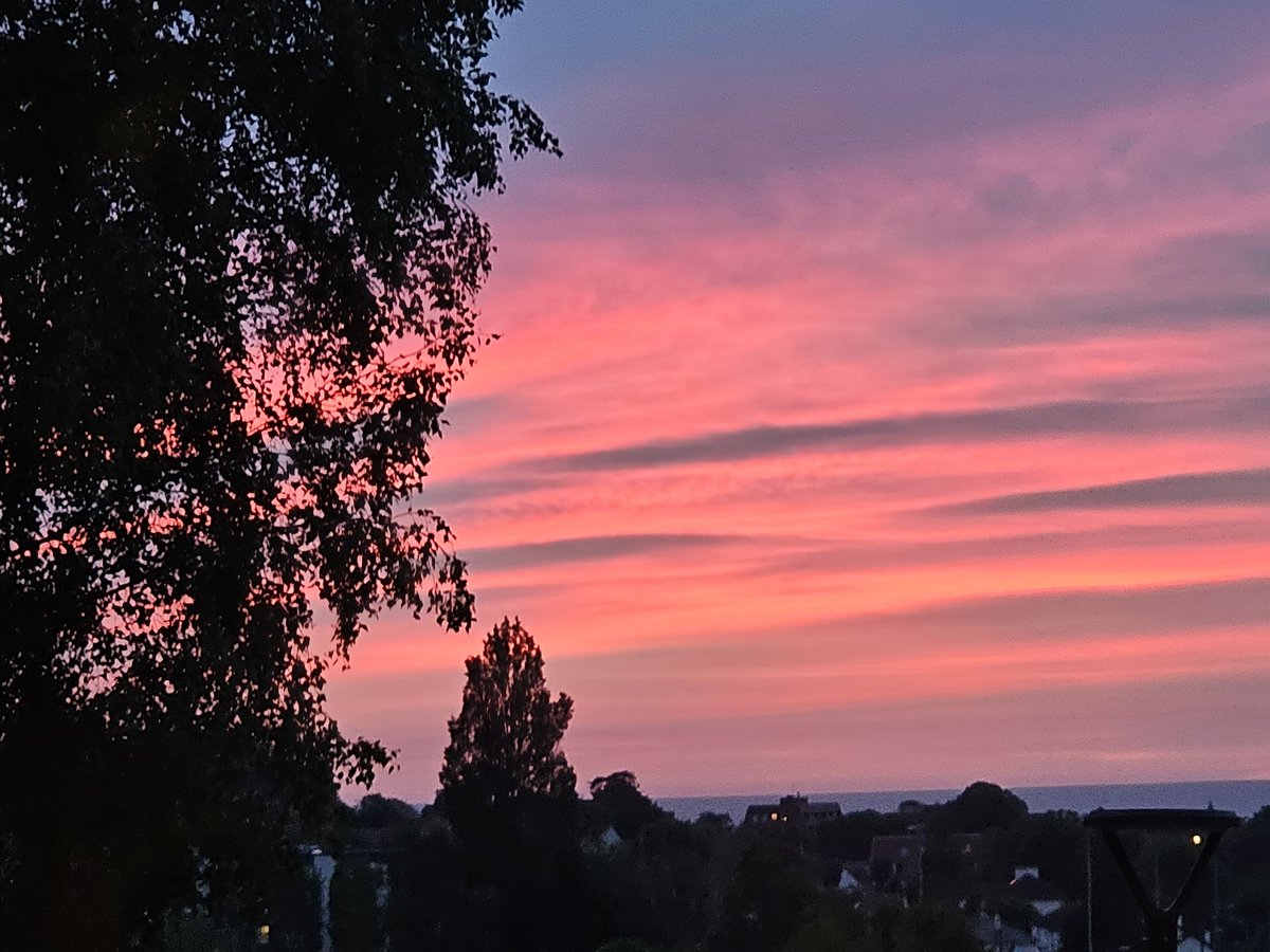 Beautiful #treeclub themed Sunset in Normandy tonight