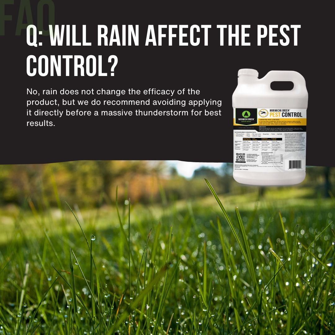 As the spring rains begin, you might wonder if this weather affects your pest control efforts. Good news! Our Mirimichi Green Pest Control remains effective regardless of the wet conditions. Learn more: buff.ly/3UI2tka