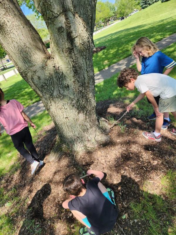 STARS OSD135 tweet media