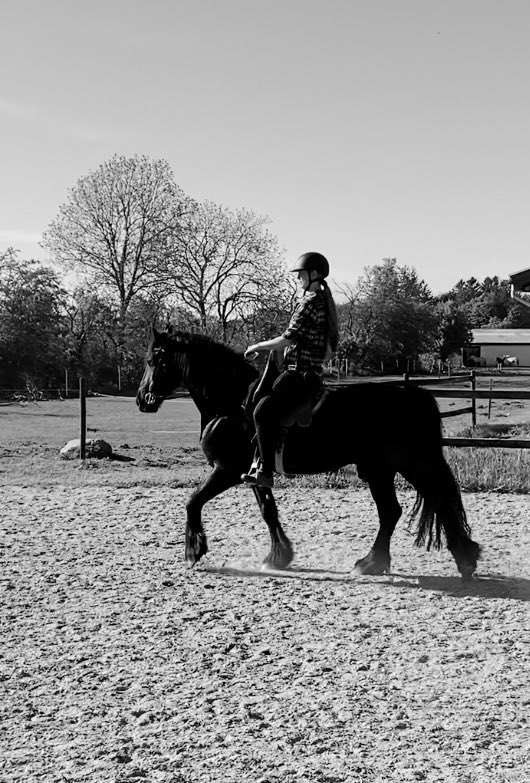 The Friesian Horse is not just a horse, it is a horse with a little bit of magic 🌟❤️
#FriesianHorse #Magic #horse