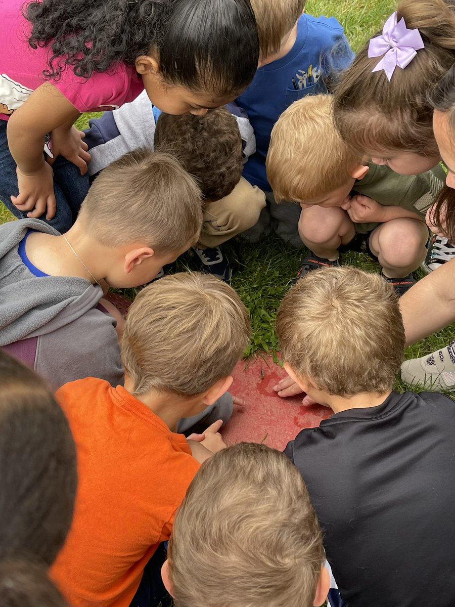 Letting our beautiful butterflies go today 🦋🤍