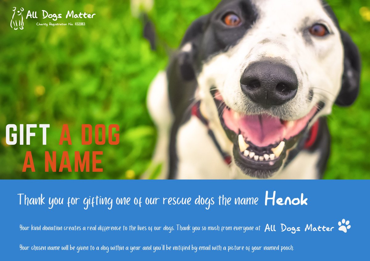 Day 63 of 100! We have just named our 63rd rescue dog “Henok”. After our crypto friend @henokcrypto 37 More Rescue Dogs to Go! 🐶 #Charity @AllDogsMatter #100dogmission #ForAda #TolysDog $ADA #MemeCoinSeason #meme #memecoin #Defi #SolanaCommunity #SolanaMobile

*PLEASE NOTE THIS