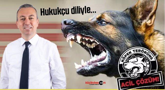 İlimiz #Sivas başta olmak üzere, Türkiye'nin neredeyse güvenlik sorunu haline gelen başıboş sokak köpekleri hakkında Avukat Devrim Koçak, belediyelerin sorumluluğuna dikkat çekerek belediyelerin vatandaşları koruyan yasalara uymadığını kaydetti.  Koçak 'Takdir hakkı insanın