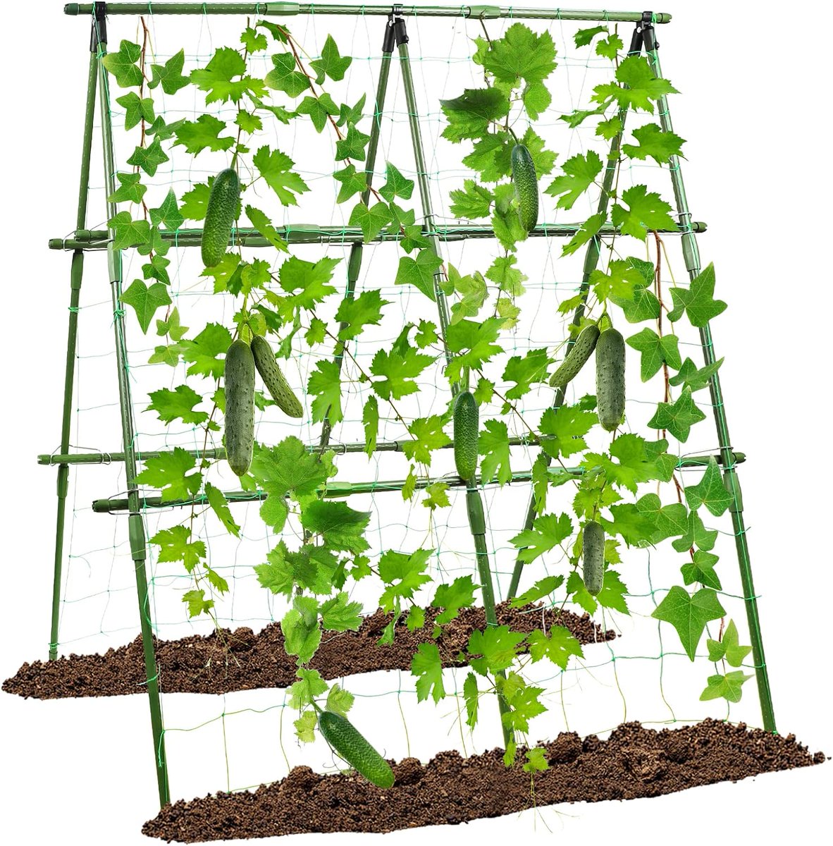 Home Grown: Trellising gets the plant and fruit up off the ground. This makes for better quality fruit and less disease. It also helps maintain order in the garden and makes harvesting easier. Trellis Home Vegetables For Better Fruit, Bigger Harvest. outwriterbooks.com/home-grown/tre…