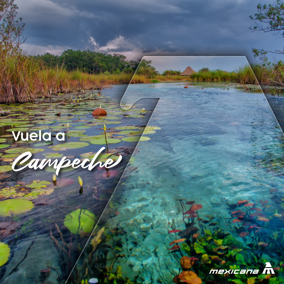 Déjate seducir por la belleza de Campeche. ¡Reserva ahora! 🛫
mexicana.gob.mx
#DestinosEspeciales #VuelaConMamáEnMexicana