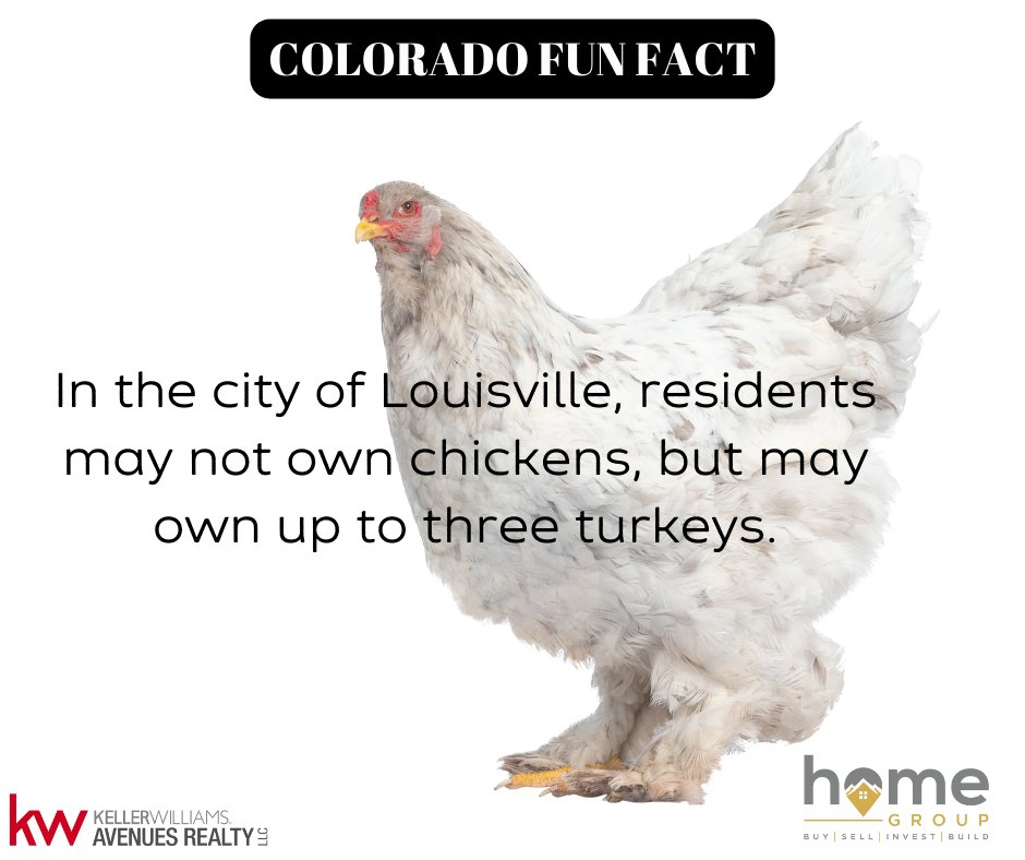 Colorado Fun Fact Friday

Chickens are out, but turkeys are in!
#homegroup #sellingdenver #funfact #coloradorealtor #yournexthome #coloradofacts #hgdenver #chickens