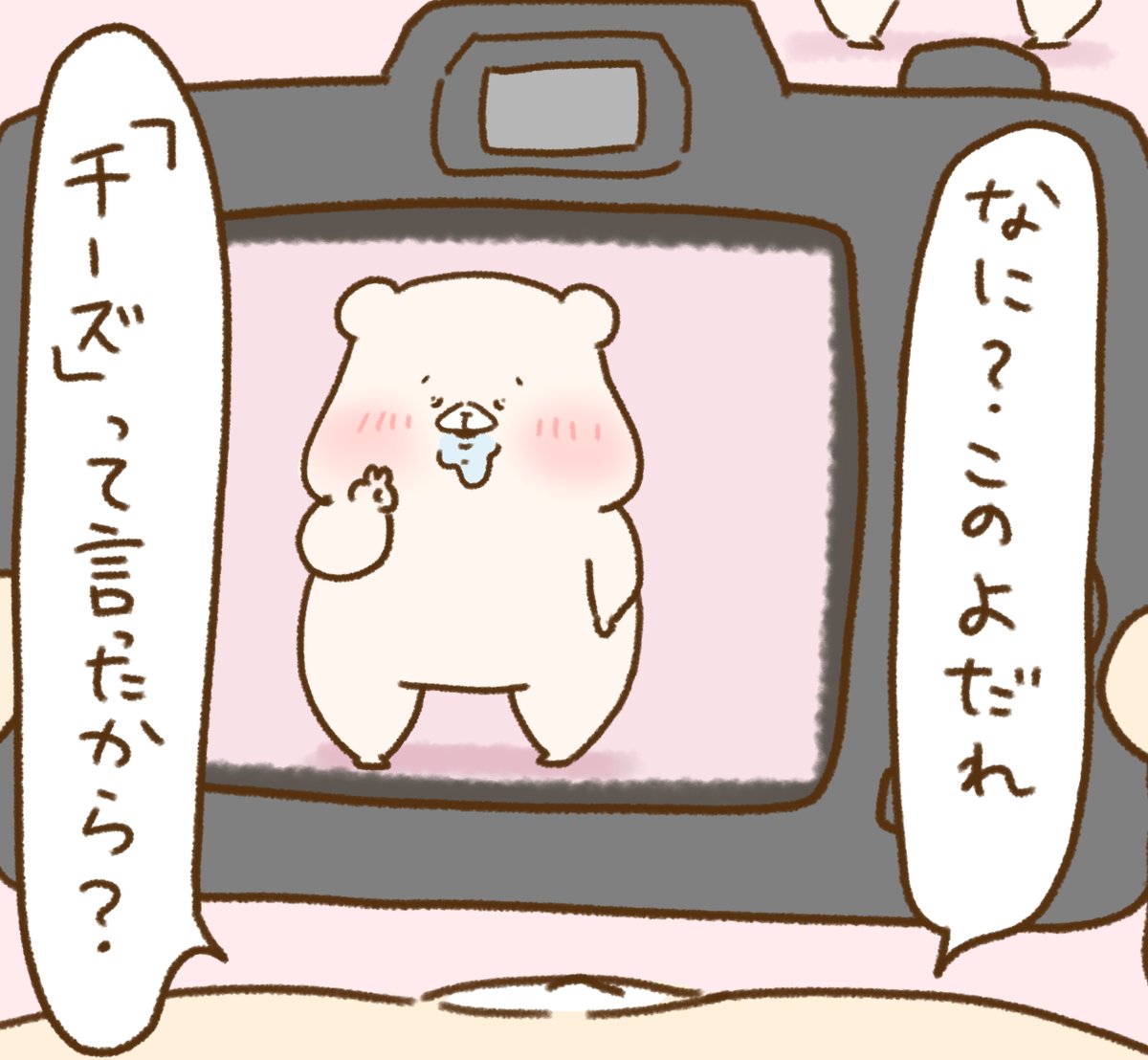 写真の日だよー 