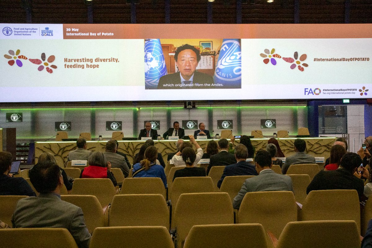 I attended various events held at the <a href="/FAO/">Food and Agriculture Organization</a> on the occasion of the first celebration of International Potato Day, an initiative promoted by #Peru and #GRULAC.