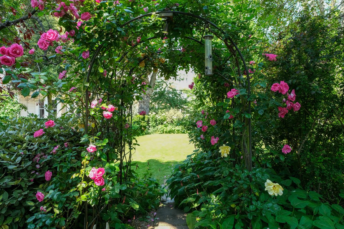 The RHS (@the_rhs) on Twitter photo Uncover over 100 hidden green spaces in the capital that aren't normally open to the public!
The <a href="/LDNGardensTrust/">London Parks & Gardens</a>'s London Open Gardens weekend between 8-9 June gives you access to roof spaces, rewilded urban spots and special historical gardens 🌸
rhs.org.uk/shows-events/v… Uncover over 100 hidden green spaces in the capital that aren't normally open to the public!
The <a href="/LDNGardensTrust/">London Parks & Gardens</a>'s London Open Gardens weekend between 8-9 June gives you access to roof spaces, rewilded urban spots and special historical gardens 🌸
rhs.org.uk/shows-events/v…