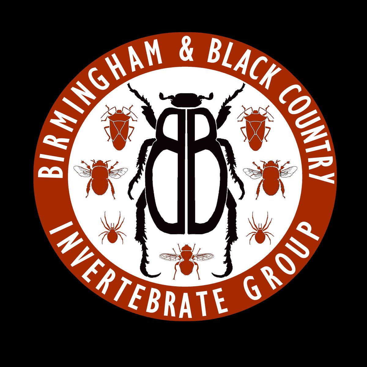 We're proud of this logo we've helped come up with for the newly-formed Birmingham and Black Country Invertebrate Group (BIG). See here for more info: ecorecord.org.uk/bbc-invertebra… BIG things are happening! #InverteBabs