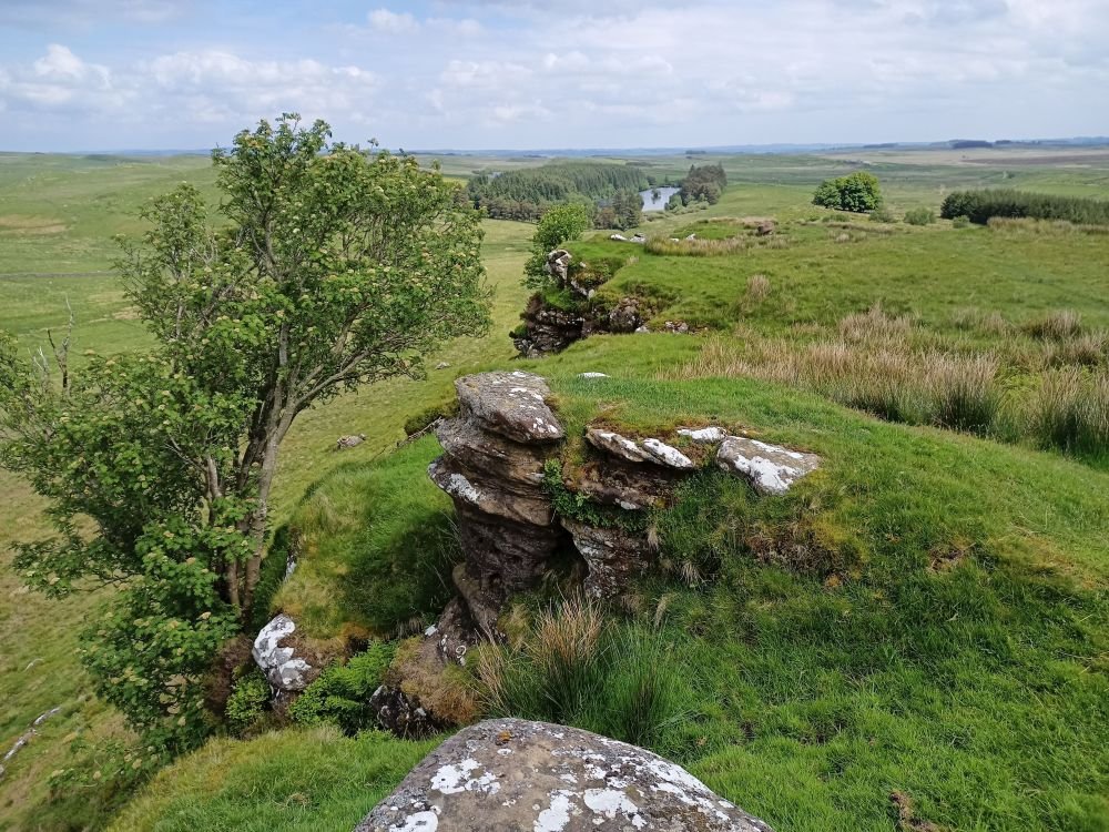 Beyond the Wall: Orienteer at Sewingshields on Sunday 9 June. Open fell and pasture, interesting crags and boulders.
<a href="/SiEntries/">SiEntries</a> close midnight Sun. 2 June. Limited entry on the day, Yellow and Orange courses only.
Any questions – just ask newcastleorienteering.org.uk/event/sewingsh… <a href="/BL_Orienteering/">Border Liners</a>