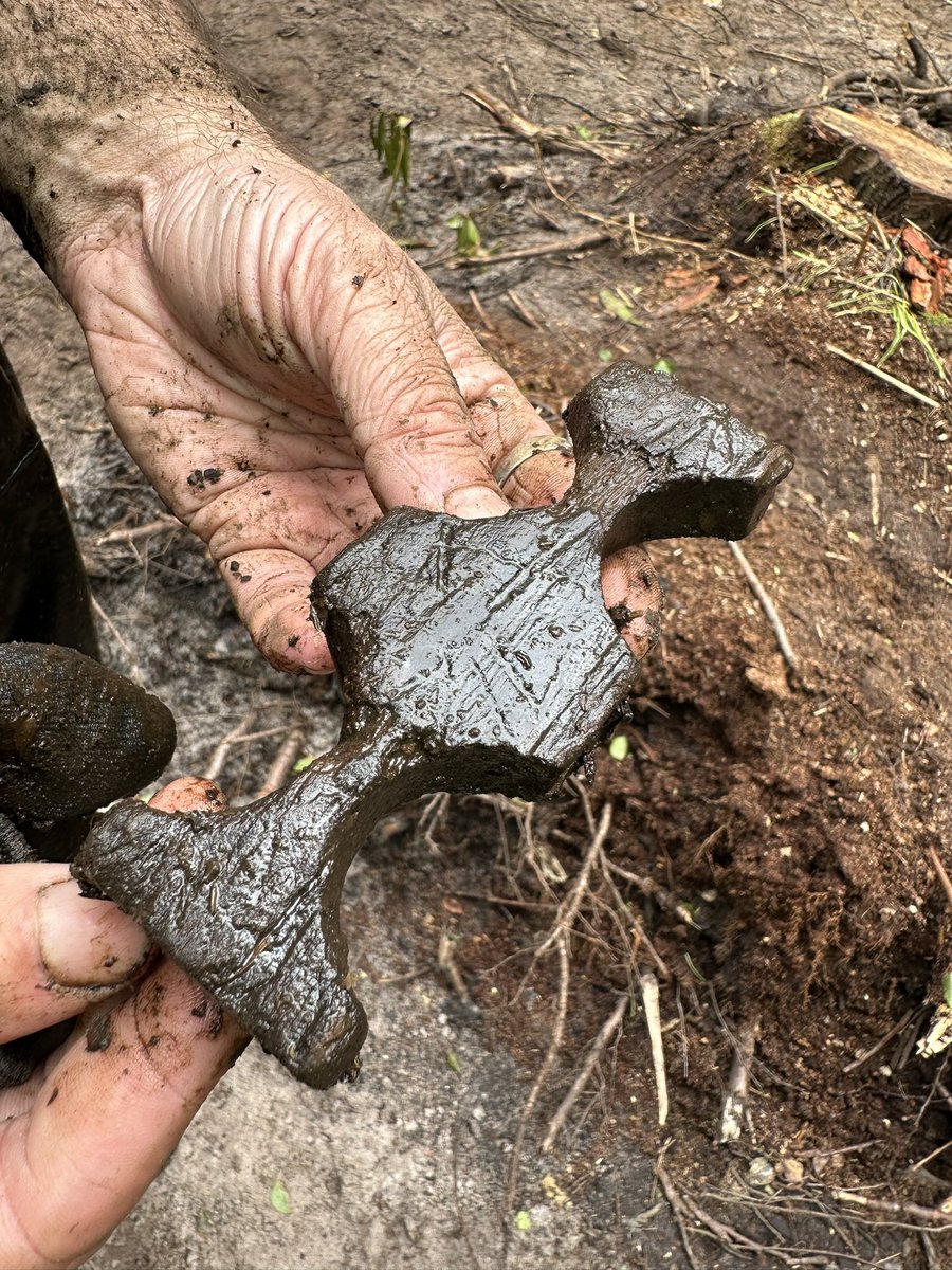 A really very moving week excavating the 1944 crash site of a USAAF B17 in Suffolk with US &amp; British participants as part of Op Nightingale alongside <a href="/CotswoldArch/">Cotswold Archaeology</a> on behalf of the <a href="/dodpaa/">Defense POW/MIA Accounting Agency (DPAA)</a> . Important finds with more to come..