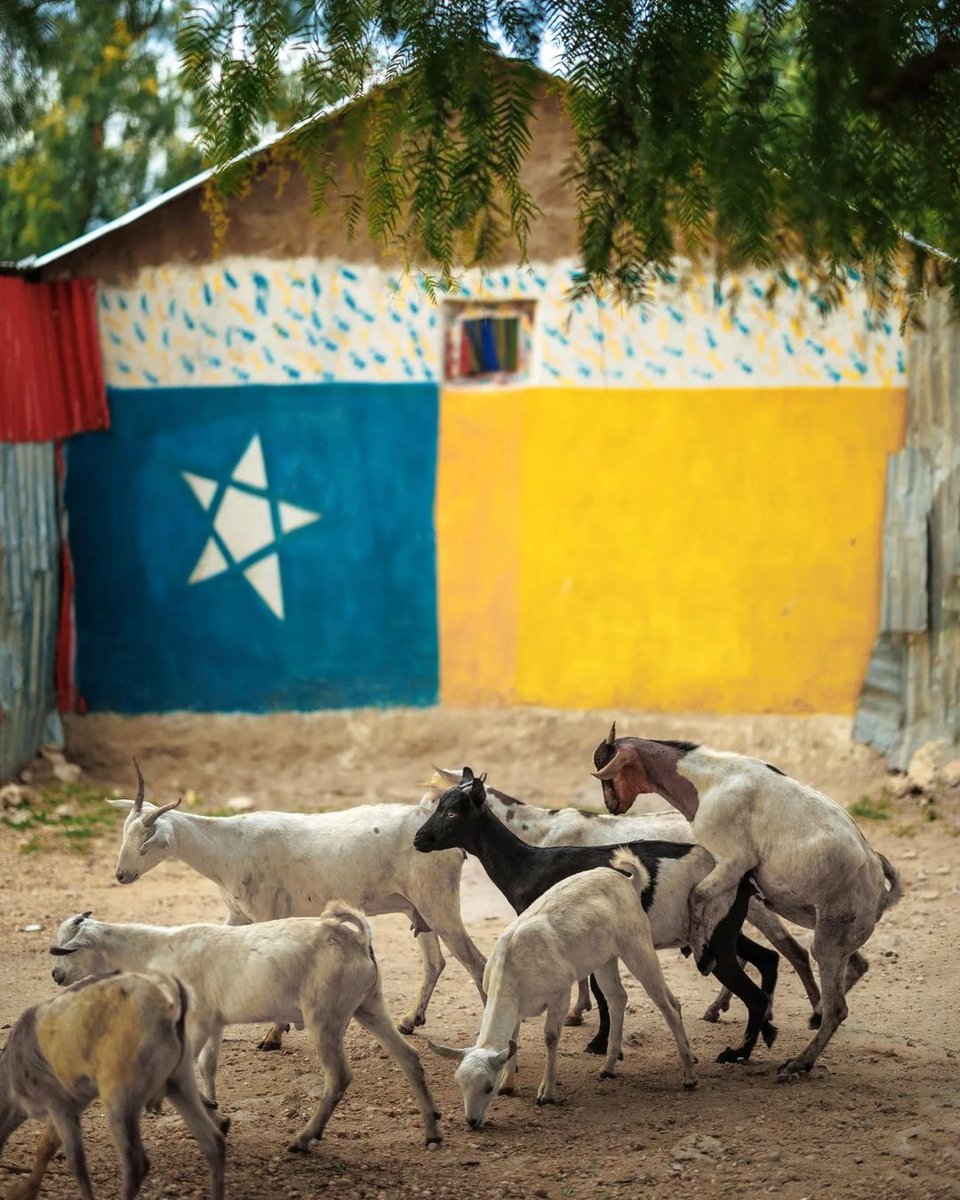_SPCA's tweet image. Images taken by IG: jjumbamartin (Ethopia). We want to see your street photography in all kinds of style. Tag us on your photos #streetphotographyAFRICA and follow us on
@_SPCA

for your chance to be featured.⠀