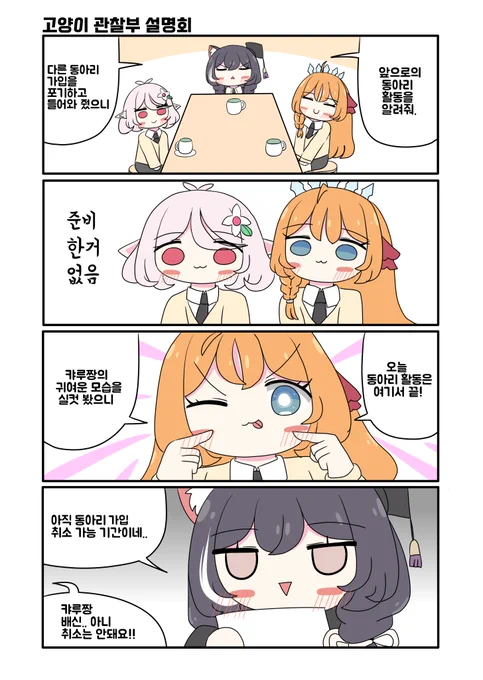 ~고양이 관찰부 설명회~ 