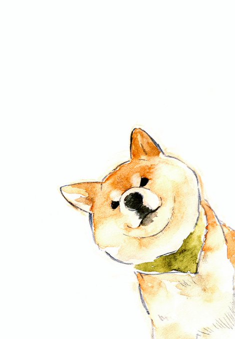 GO-804ObMAAcAUa.jpg:small