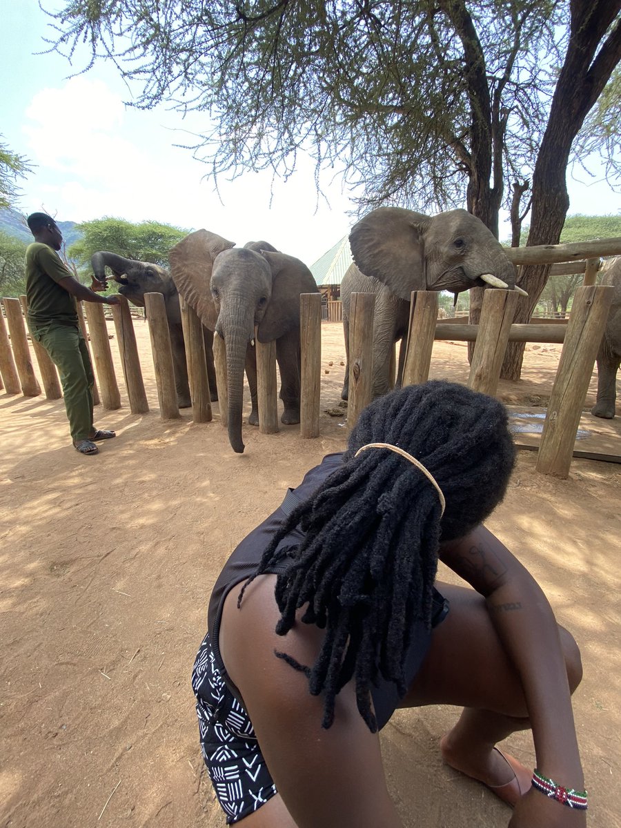 Reteti Elephant Sanctuary, Samburu County, Kenya 🇰🇪