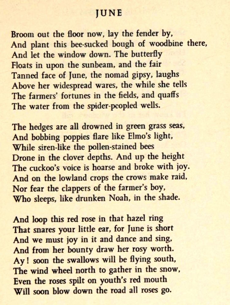 Welcome to June, everyone! 😄 

We did it! 🙌

And to celebrate, here is a poem from the Irish poet Francis Ledwidge (1887-1917) which I think is just brilliant.

Read it slowly. Savour it. Should inspire you to make this month a good one.

Carpe Diem 🌿