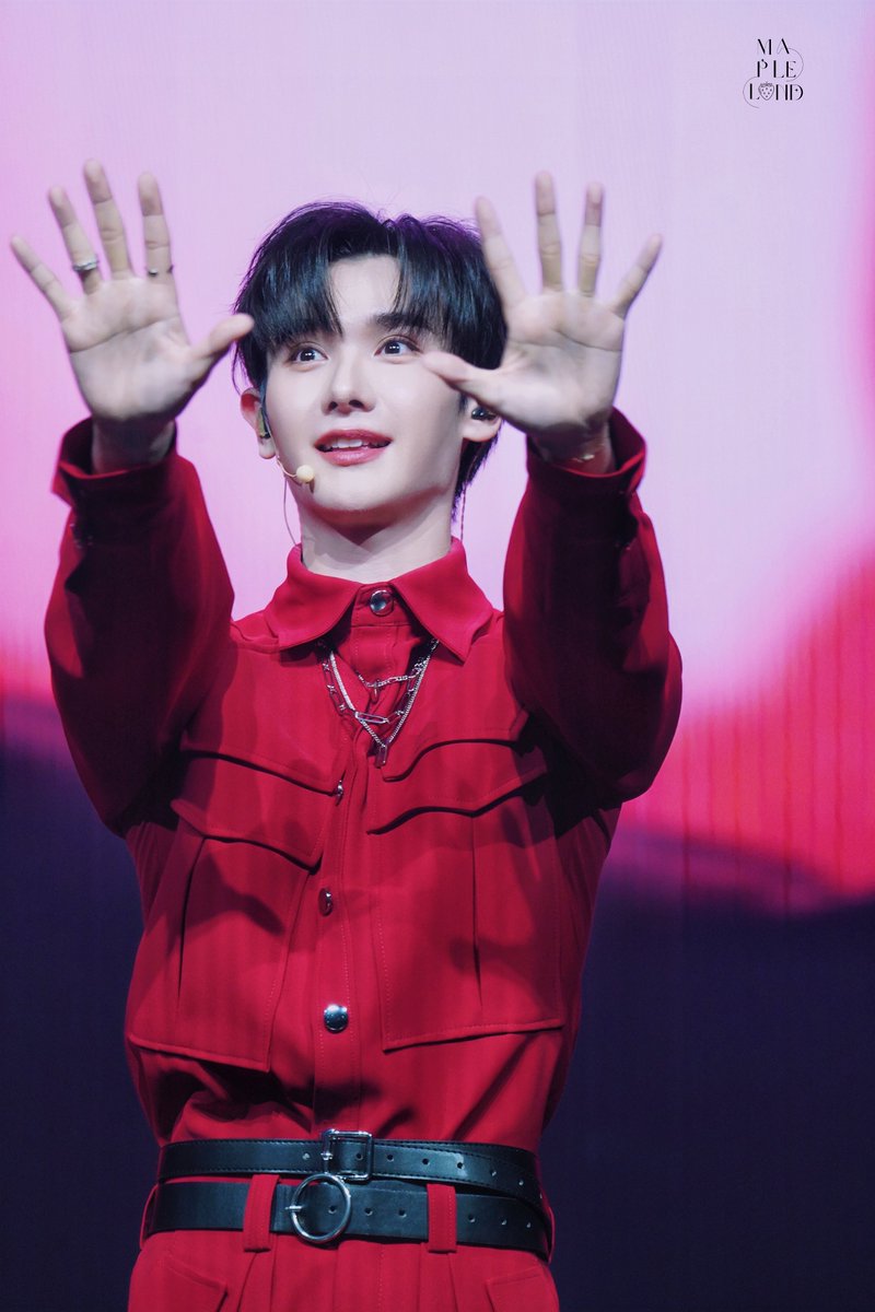 MAPLELAND ❤️NINE 4ever tweet media