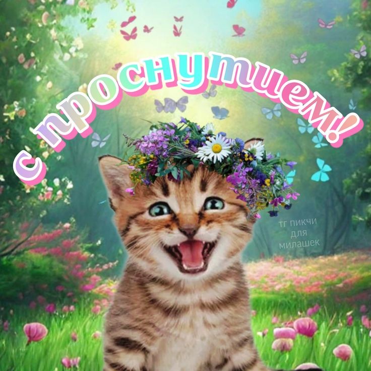 turutututu2's tweet photo. С очередным моим камбеком ëптыть!
Надо аккуратненько переводить ленту на майорогромовскую ибо я уже с ума схожу от этого бешеного гиперфикса 😩😩 https://t.co/LsRPjFtK2u