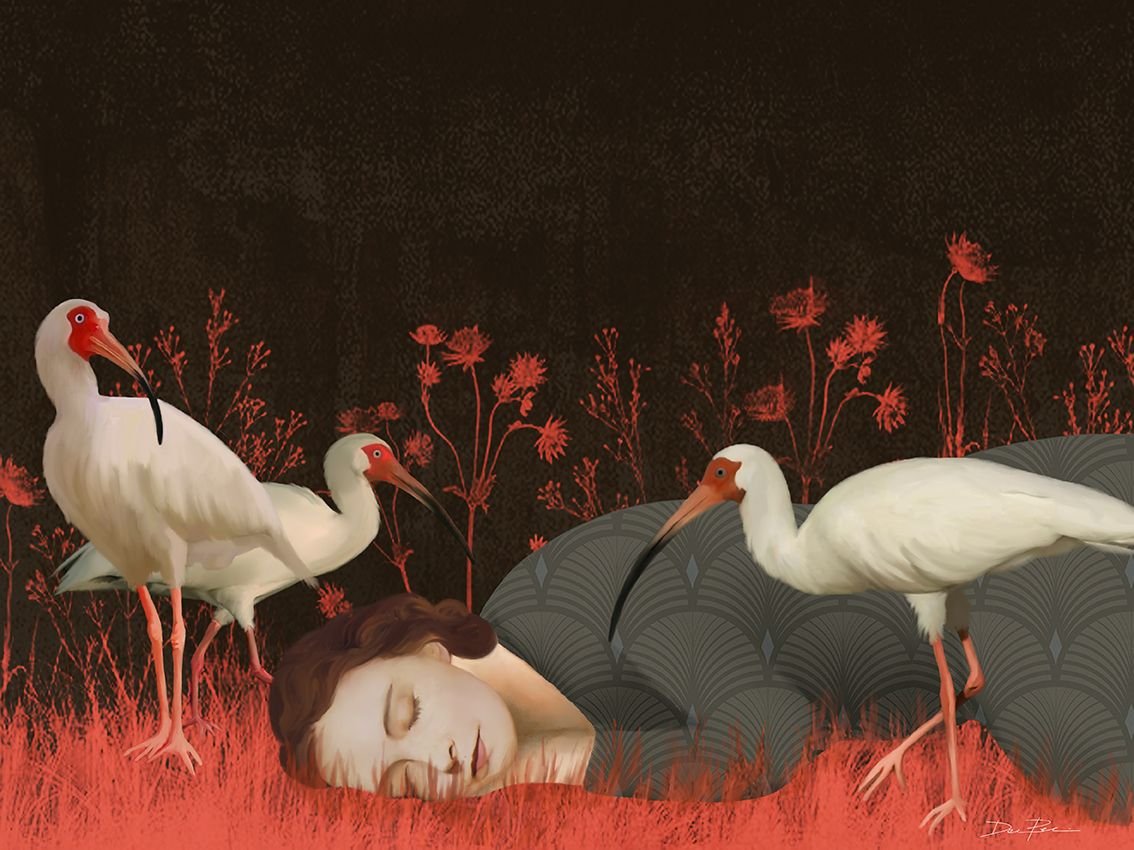 daria petrilli #happynewmonth