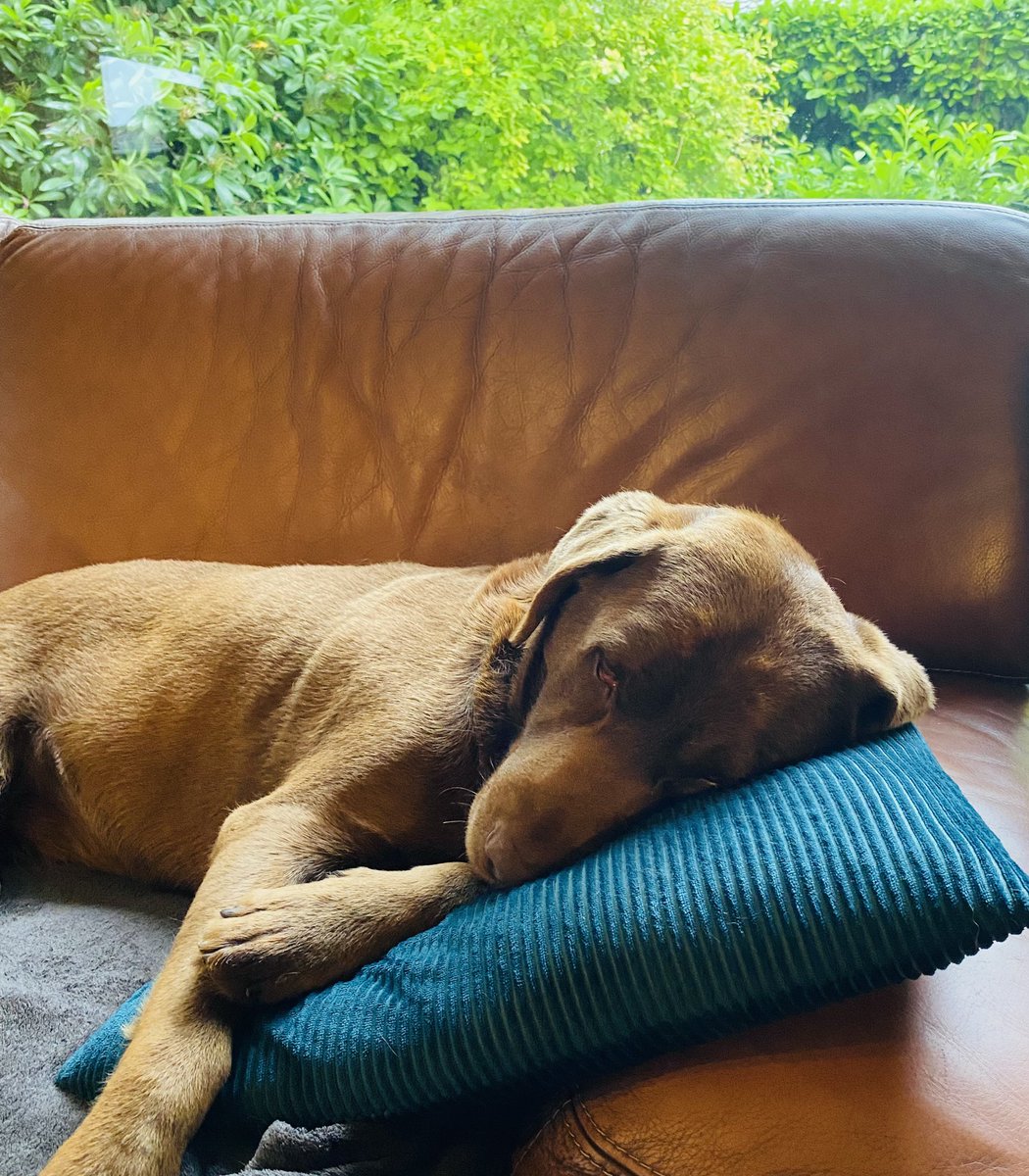 Ward Markey tweet media