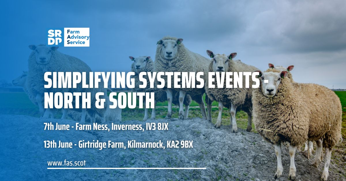 Interested in simplifying your farm system? Join our north or south event for a series of interactive workshops with vets, livestock nutritionists, and agricultural consultants. Find out more by clicking here fas.scot/events/ @SRUCVets @ConsultingSAC