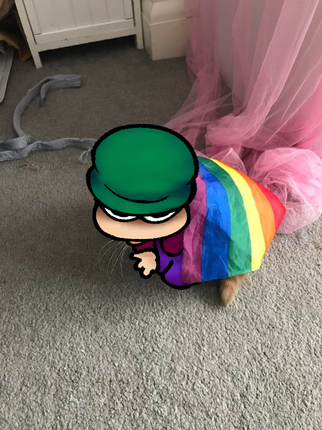 __BambiCat's tweet photo. day 34

happy pride month 🏳️‍🌈 https://t.co/10XOjM6pvh