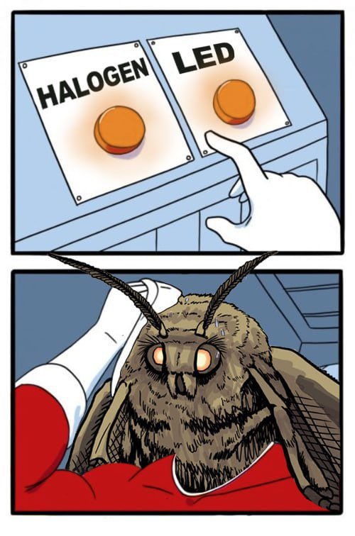@mothmemecoin Damn and I just bought because ya’ll made me laugh at the memes but screw it lfg! $MOTH