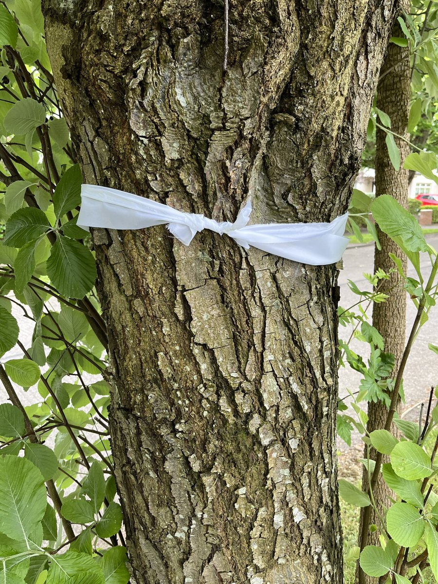 annemar06878147's tweet photo. Knot on stop war
Tie white ribbon/ cloth around your door or tree to symbolise Peace and oppose children being caught up horrors of war, international children’s day June 1st @KnotOn_StopWar @UNChildRights1 https://t.co/HxU1t6V1fy