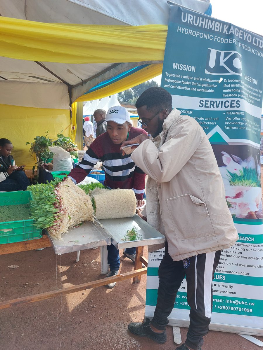 Thrilled to be showcasing UKC's sustainable hydroponic fodder at the Agricultural Exhibition in @Nyabihudistrict 🌱 Join us as we lead the charge in regenerating agriculture. Visit our booth and discover the future of farming! #UKC #HydroponicFodder #AgriculturalExhibition