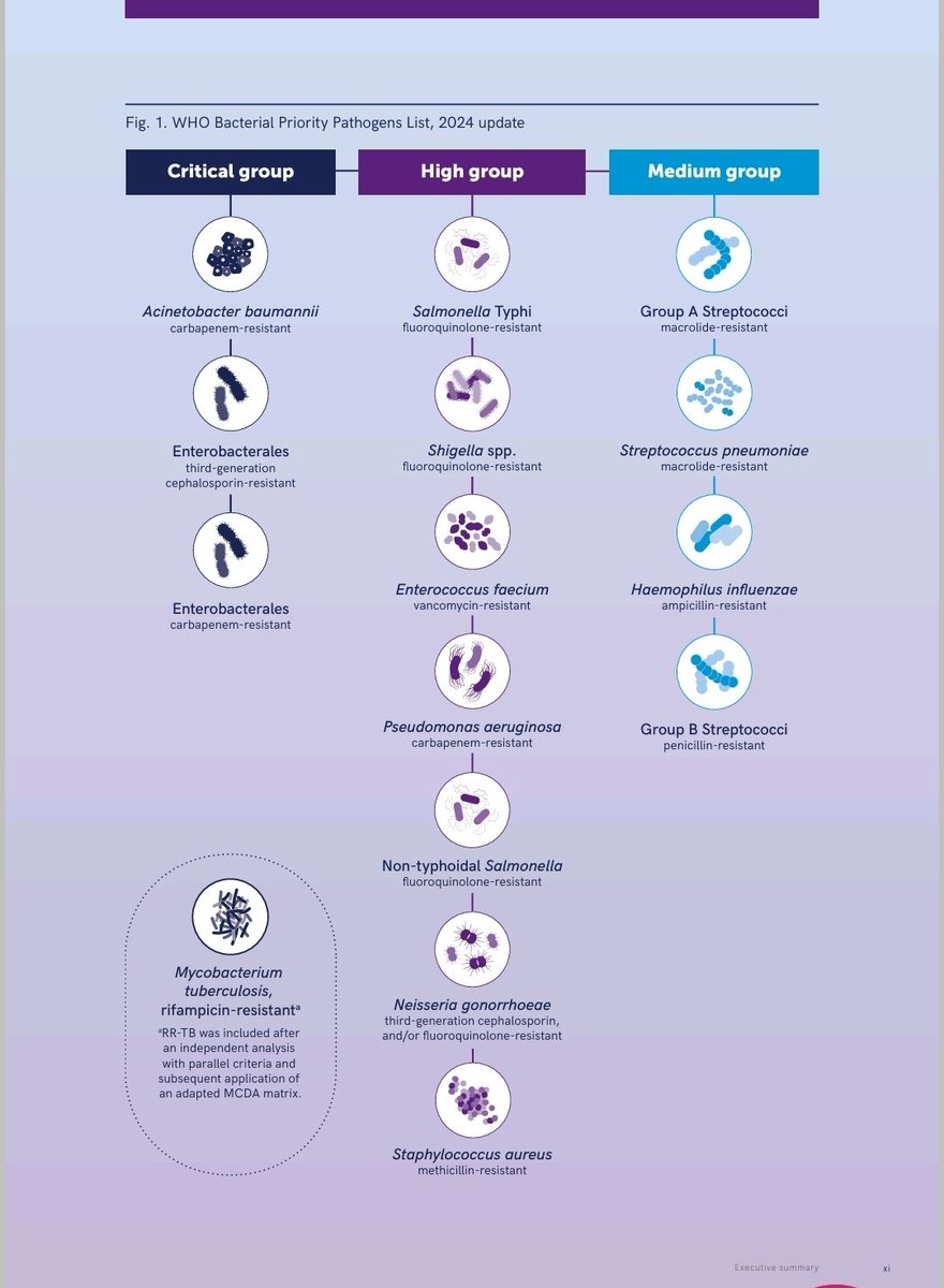 WHO has recently updated its Bacterial Priority Pathogens List, 2024 (BPPL 2024) which is very important for all the health care personnel to prevent anti microbial resistance.

Must read: 

The 2024 BPPL includes 15 families of antibiotic resistant (ABR) pathogens, grouped into: