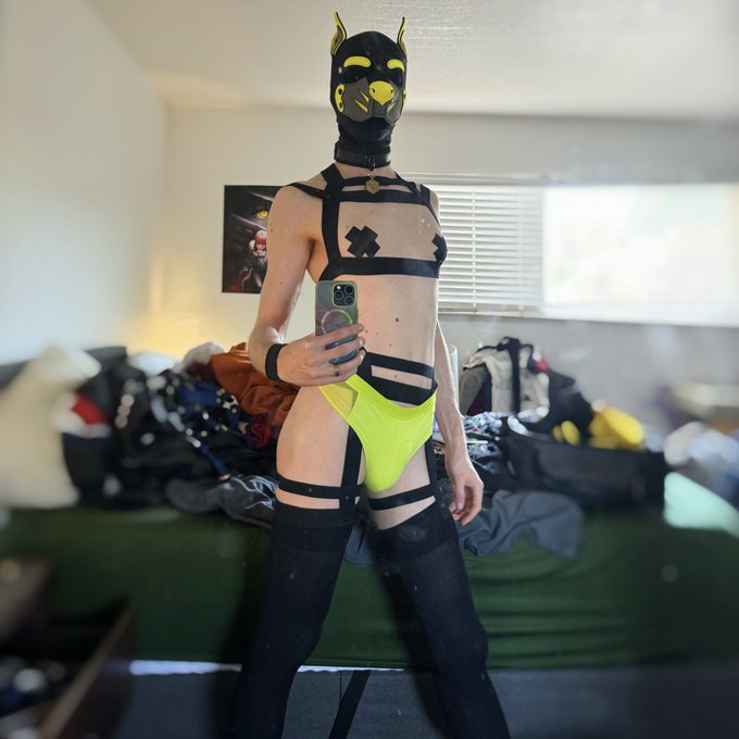 HAPPY🏳️&zwj;🌈PRIDE🏳️&zwj;⚧️MONTH🐕PUPPIES!!! https://t.co/Rql07aRmCp