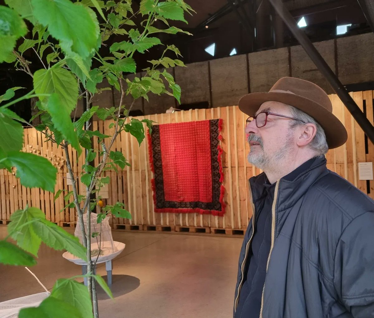 RemeRemediosC's tweet photo. Hasta finales de julio os veo en EcosistemaSEDA en @museo_energia #Ponferrada.
La idea principal del proyecto es crear dentro del Museo un ecosistema para favorecer el proceso creador y la metamorfosis de los gusanos de Seda. Pero hay mucho más...
+info https://t.co/sZteCo42up https://t.co/bH0ZsXa1A1