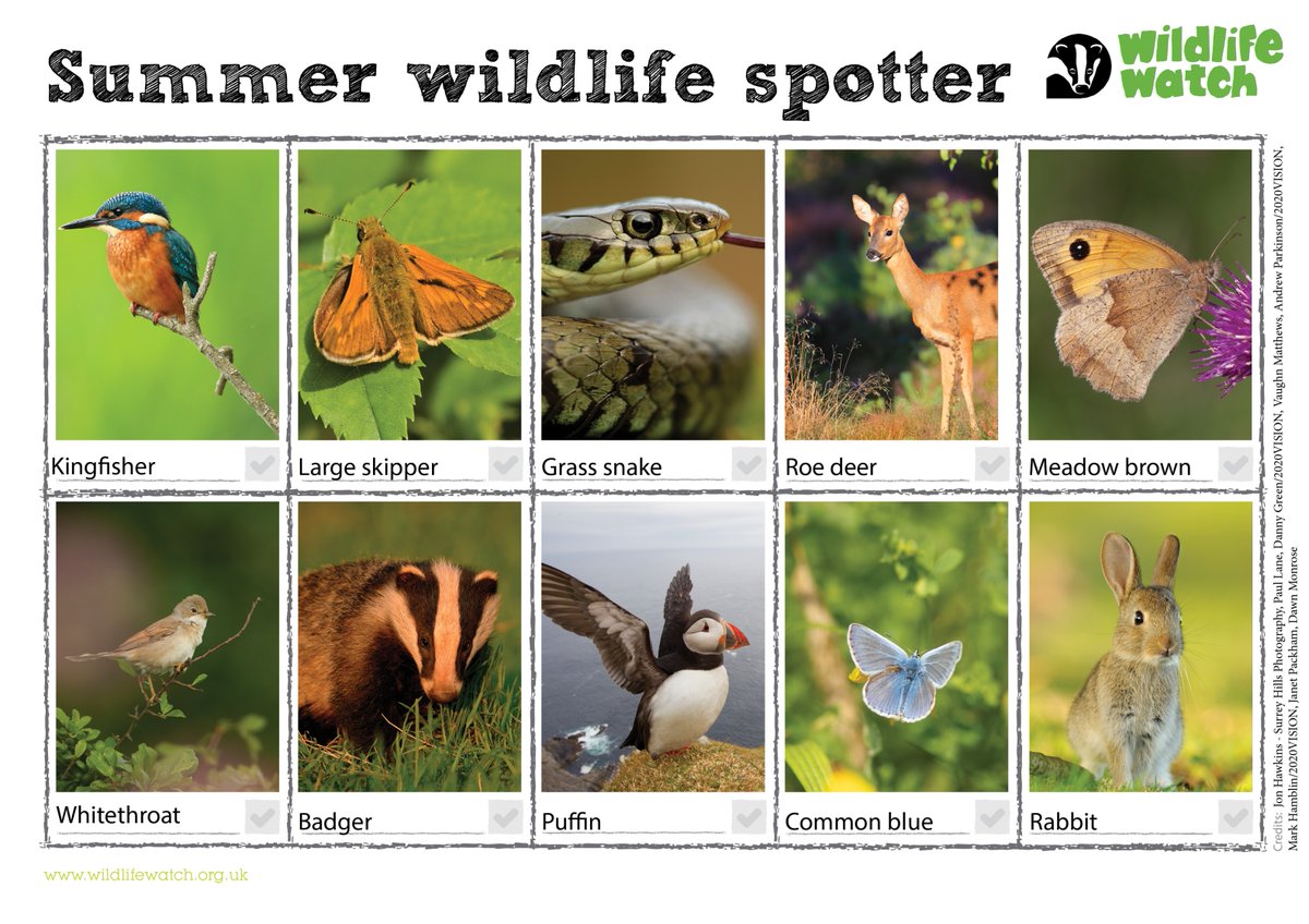 The first day of summer is just around the corner so to kick off your first day of #30DaysWild get to know the nature on your doorstep and go for a walk! Keep a note of all the amazing wildlife you spot! 🦋 wildlifetrusts.org/visit/choose-y…