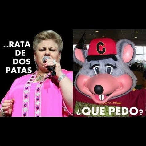 PichojosEl's tweet photo. @ResacaAmerica Le faltó una rata de dos patas en el pecho https://t.co/x1mS0HGB49