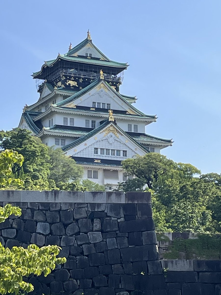 piperitum's tweet photo. 大阪城公園は広かったです。 https://t.co/yb5pTBGyhh