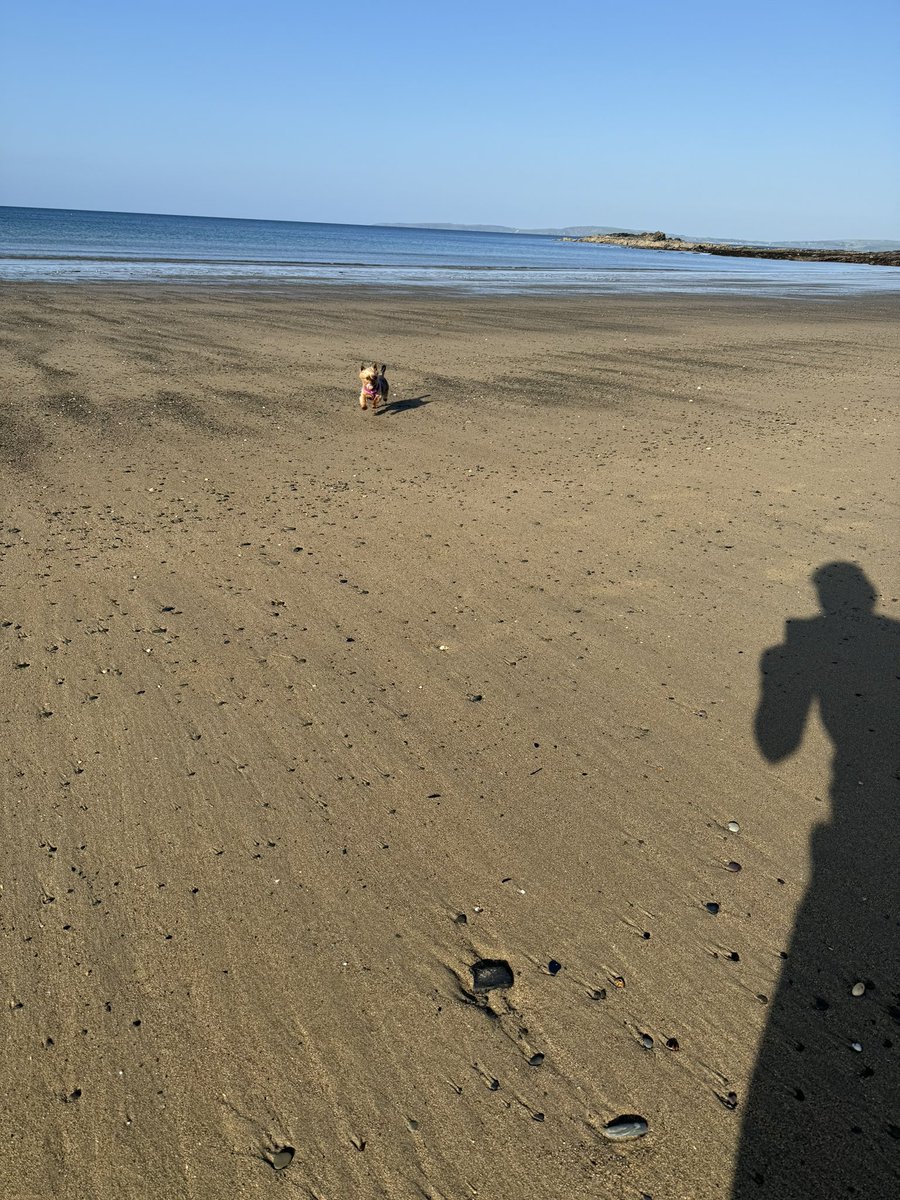 Beautiful morning in County Cork #summer #cork #wildatlanticway