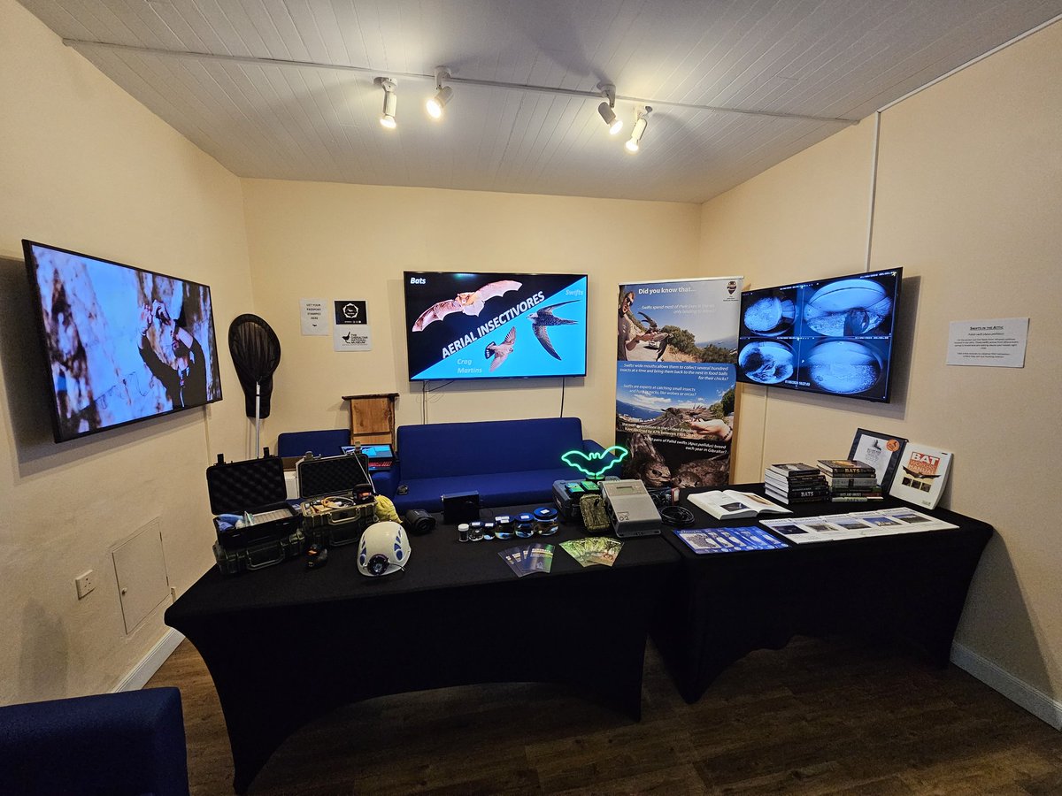 Gib-Bats tweet media