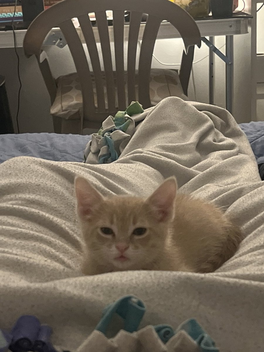 Dxbyy's tweet photo. Mf looking at me like he wanna kill me https://t.co/XiKJLd9M6a
