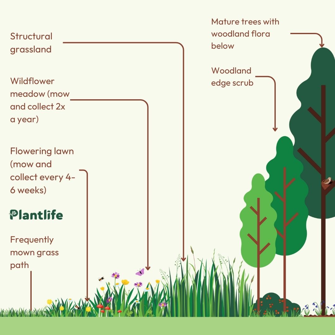 #NoMowMay is over, but the buzz doesn’t have to stop...let’s carry on with #LetItBloomJune🌱  

Thank you to everyone who let the wildflowers bloom this year 🌸 

If you can, why not leave a space to keep growing wild - the wildlife will thank you later 🔗 bit.ly/45yNTjp