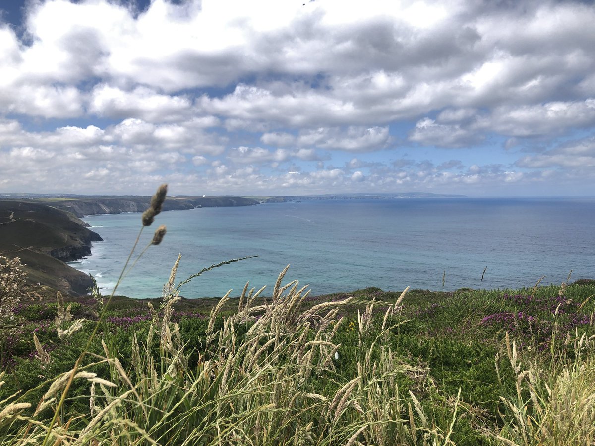 stagnesturtle's tweet image. Welcome to June - Mis Metheven in #Cornish #Kernowek